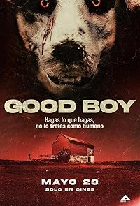 Good Boy 2022 Hindi Dubbed Norwegian Movie Download 480p 720p 1080p Filmy4Wap